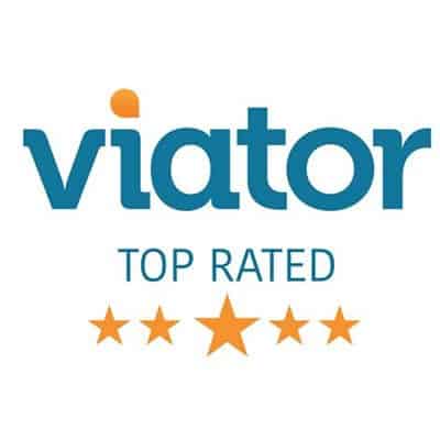 Top Rated on Viator